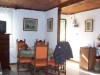 la coccinella