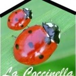 La Coccinella